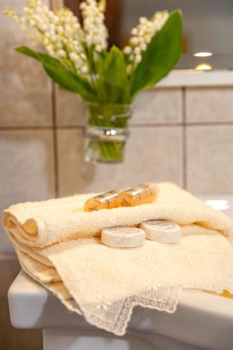 モウレシにあるGardenia Studiosのトイレの上に薬をかけたタオル