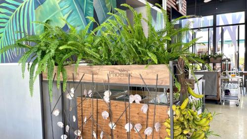a display of plants in a store with bananas at PHOENIX MINH CHÂU HOTEL in Quang Ninh