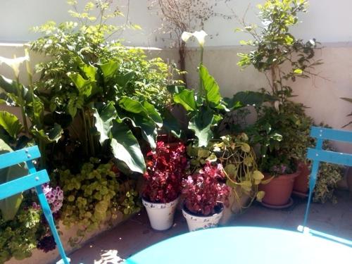 Foto Holiday Home Ribera del Tajo 6