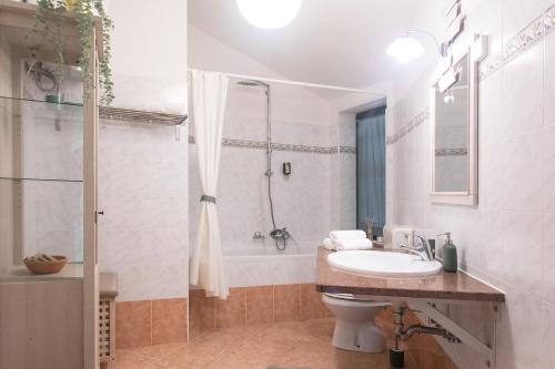 La salle de bains est pourvue d'un lavabo, d'une douche et de toilettes. dans l'établissement VILLA GOLD ISTRA, à Portorož