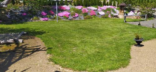 a park with a bench and a bunch of flowers at Domek Rodzynek in Hoczew