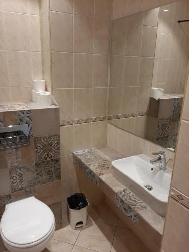 a bathroom with a toilet and a sink at Hotel Astoria City Center in Iaşi