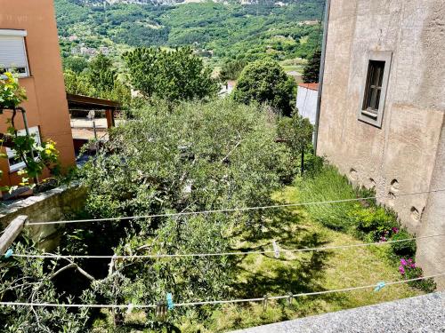 a view of a building and a yard with bushes at Apartments Rome in Baška