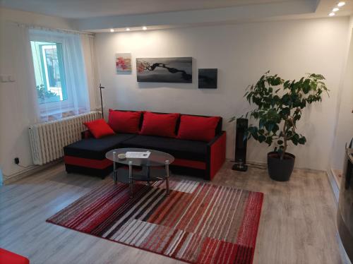 a living room with a black couch and red pillows at Green House 45 in Třebíč