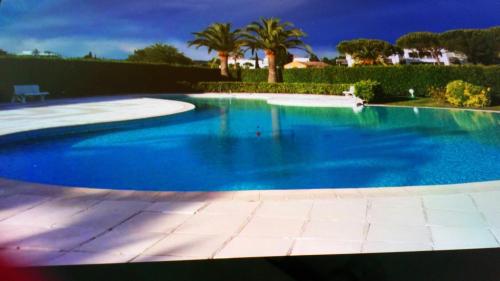 une grande piscine bleue avec des palmiers en arrière-plan dans l'établissement F3 ILE MARINA MANDELIEU LA NAPOULE, à Mandelieu-la-Napoule