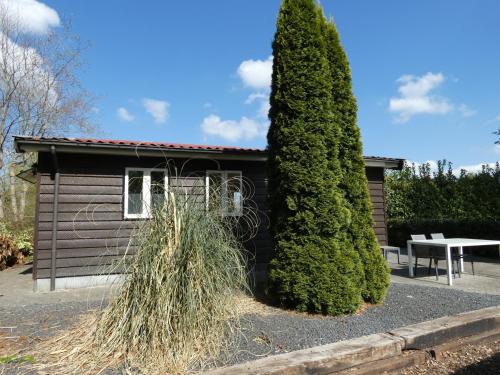 a small house with a tree next to a table at Midden in de natuur, een ruim chalet aan de rand van het bos, nr 30 in Marum