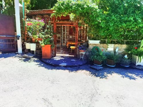 Κήπος έξω από το MONIC83 Spiaggia Privata