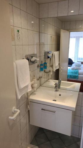 a bathroom with a white sink and a mirror at Hubertus in Perleberg