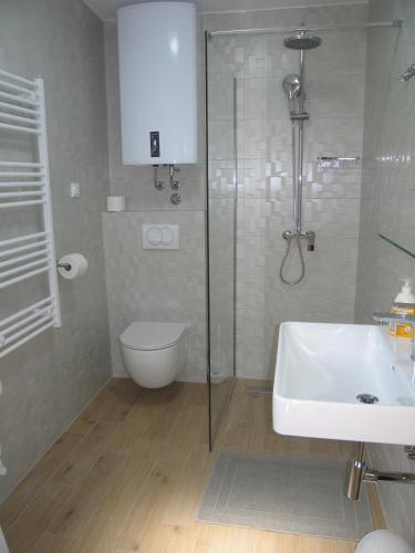 a bathroom with a shower and a toilet and a sink at Holiday Apartment Jasna in Premantura