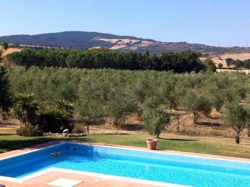 a swimming pool in front of a field with trees at Il Girasole Terzuolo in Manciano