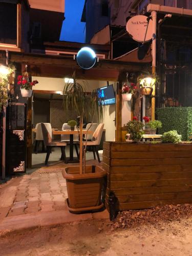 a potted plant in a pot on a patio at Silver Continent Hostel in Silivri