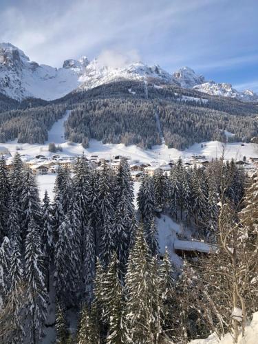 a view of a snowy mountain range with snow covered trees at NONNA PINA Appartamento FIORI in Padola