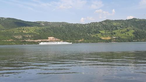 Gallery image of La Piticu in Dubova