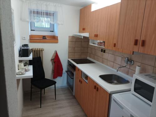 una pequeña cocina con fregadero y encimera en Green House 45, en Třebíč