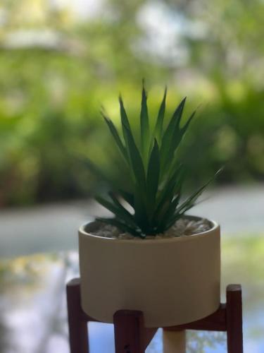 a potted plant sitting on top of a wooden stand at Villa Crystals in Colombo