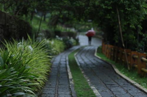 une personne se promenant sur un chemin avec un parapluie dans l'établissement Broad Bean Resort & Spa, à Munnar