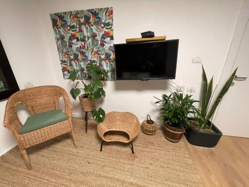 a living room with potted plants and a flat screen tv at צדפת המדבר in Giv'ot Bar