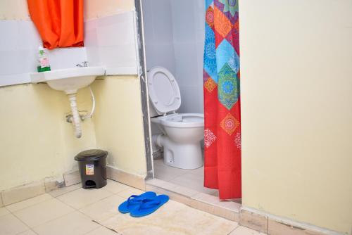 a bathroom with a toilet and a sink at Luna Light Guest House in Naivasha