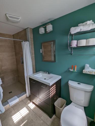 a bathroom with a toilet and a shower and a sink at Stanford House in Manchester Center