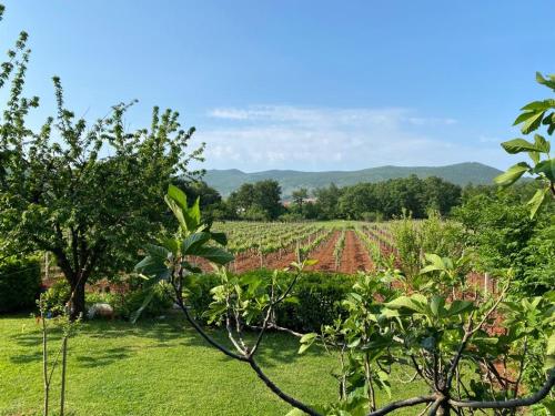 Φυσικό τοπίο κοντά σε αυτό το bed & breakfast