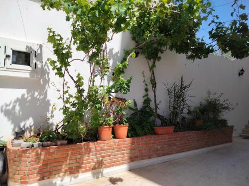 a brick retaining wall with potted plants on it at Studio à Hammam Sousse in Hammam Sousse