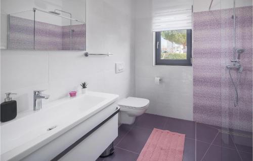 ein Bad mit einem Waschbecken, einem WC und einer Dusche in der Unterkunft Stunning Home In Novigrad With Kitchen in Bužinija