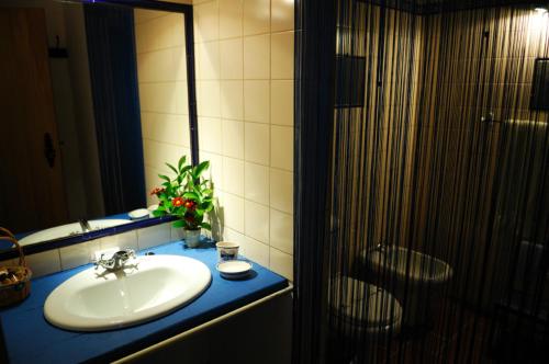 a bathroom with a sink and a mirror and a shower at Casa Da Seiceira in São Teotónio