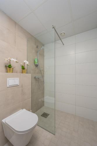 a bathroom with a toilet and a glass shower at CITYGATE APARTMENT WITH SUN BALCONY in Tartu