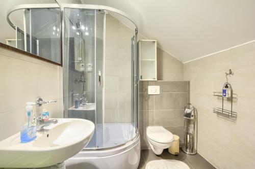 a bathroom with a shower and a sink and a toilet at Zajazd Karłów Restauracja & Pokoje Gościnne in Karłów