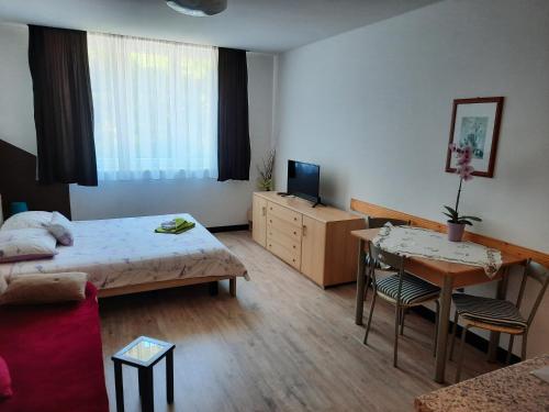 a small room with a bed and a table and a couch at Apartmani Lorena in Pula