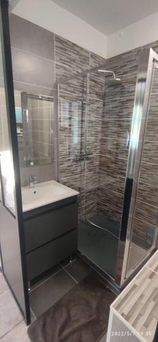 a bathroom with a shower and a sink and a showerspective at B&B En plein coeur de la forêt in Artiguelouve