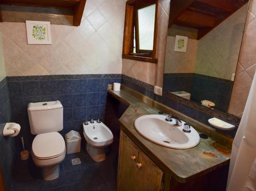 un baño con inodoro y lavabo en Cabaña para 4 pax ACCESO BAYO, en Villa La Angostura