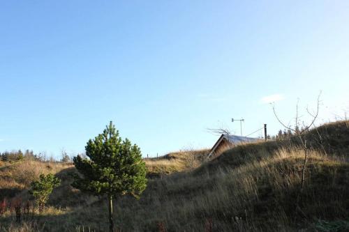 a tree on the side of a hill at Wilderkin Cabin in West Linton