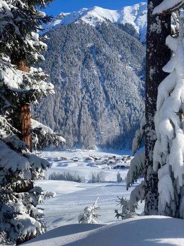 a view of a snow covered valley with a mountain at Alp Apart Niederthai in Umhausen