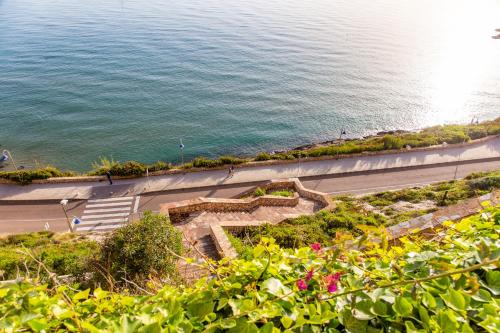 a view of the ocean from a hill with flowers at Cullera Panoramic Sea Views Apartment in Cullera