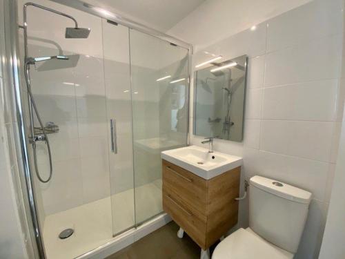 a bathroom with a shower and a toilet and a sink at Studio Quiberon, 1 pièce, 3 personnes - FR-1-478-39 in Quiberon