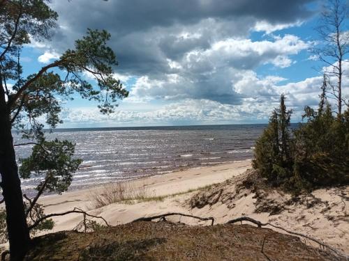 Gallery image of Männi puhkebaas in Karjamaa