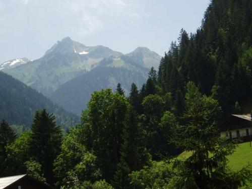 Photo de la galerie de l'établissement Appartement fonctionnel 4-6 pers avec piscine, TV, lave-vaisselle et balcon à Arêches-Beaufort - FR-1-342-161, à Arêches