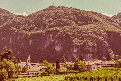 a village in front of a mountain at Amadeus Ora & Amore in Caldaro