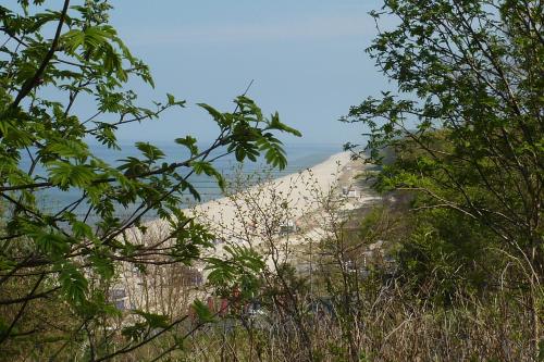 a view of a beach from behind some trees at moderne 3-Raum Ferienwohnung Strandmöwe mit Panoramafenster in Ueckeritz
