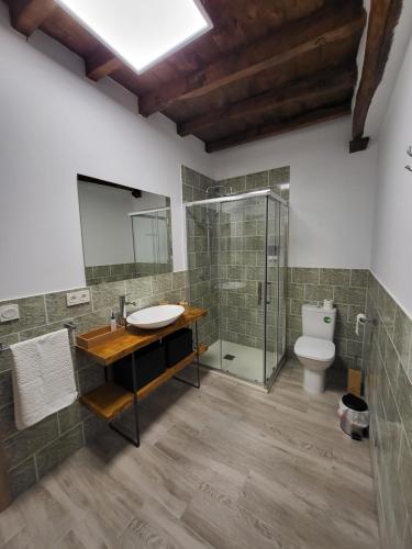 a bathroom with a sink and a shower and a toilet at Villa Rural Casa Alma in Castiltierra