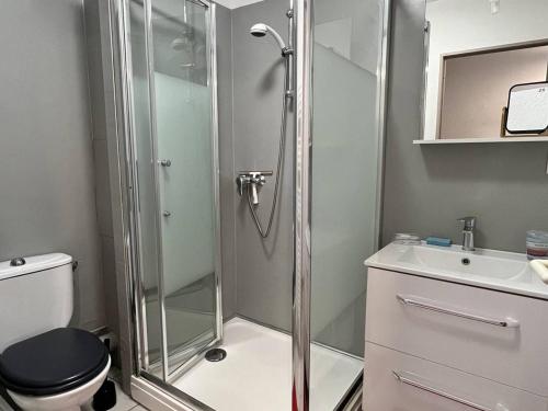 une salle de bain avec une douche, des toilettes et un lavabo dans l'établissement T2 calme avec balcon, parking et internet, Cambo-les-Bains - FR-1-495-46, à Cambo-les-Bains