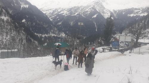 a group of people walking in the snow with a dog at Shiva mountain guest house & Cafe in Tosh