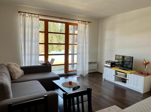 sala de estar con sofá y TV en Apartmán u Tesáka - Říčky v Orlických horách en Říčky