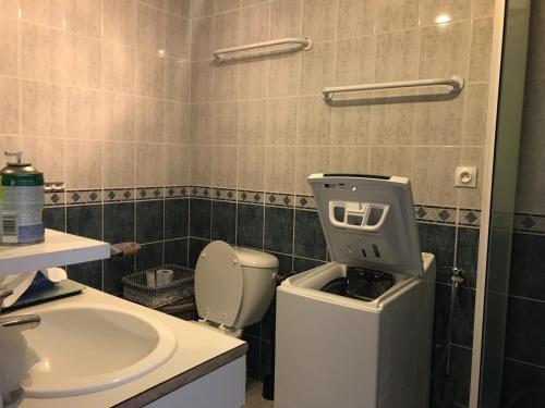 une salle de bain avec toilettes et lavabo dans l'établissement Charme et détente entre mer et campagne, proche plages et activités - FR-1-336-83, à Angles