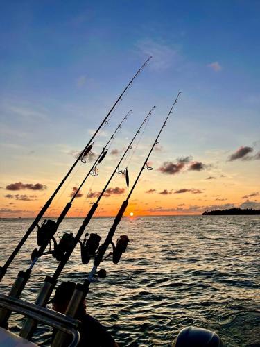 a group of fishing rods on a boat in the water at Daisy Cottage Dhangethi in Dhangethi