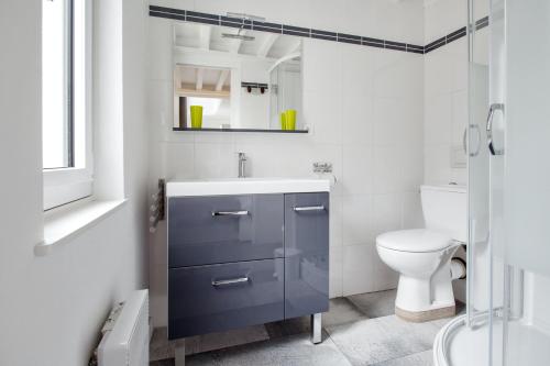 a bathroom with a blue sink and a toilet at Maison de 2 chambres avec wifi a Honfleur in Honfleur