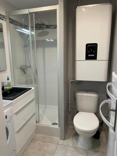 une salle de bain avec une douche, des toilettes et un lavabo dans l'établissement 2 pièces Les Coquillages - Hypercentre et Plage, à Houlgate