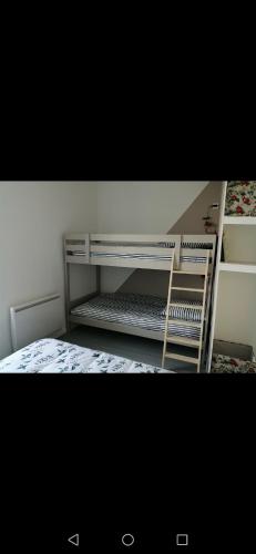 een slaapkamer met 2 stapelbedden in een kamer bij Petite maison in Saint-Vigor-le-Grand