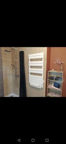 een badkamer met een douche, een toilet en een raam bij Petite maison in Saint-Vigor-le-Grand